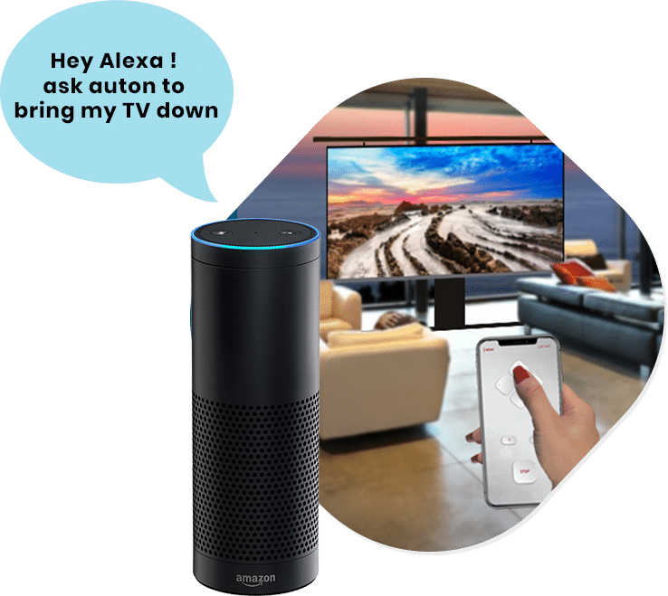 Consumer Electronic Control App