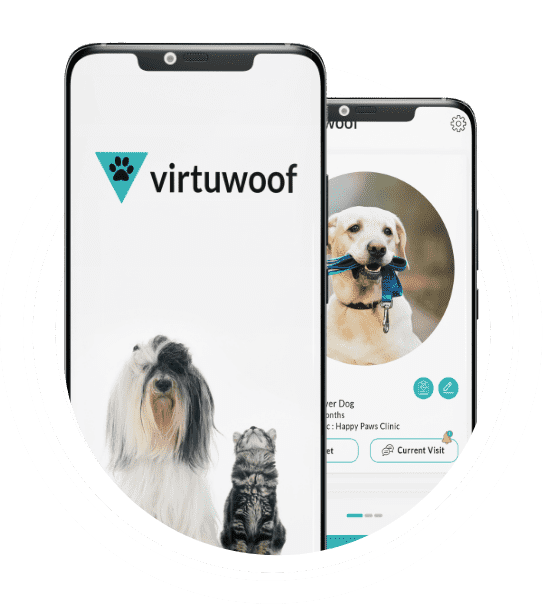 veterinary telemedicine app