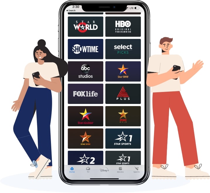 Disney Plus Application