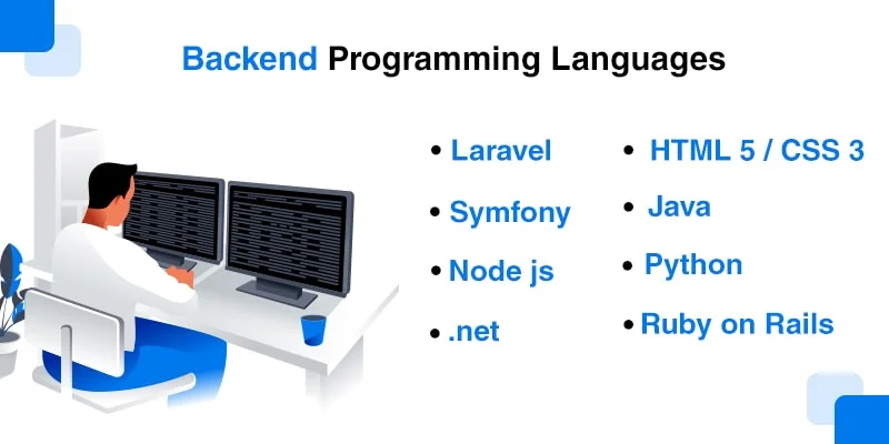 Backend Programming Languages