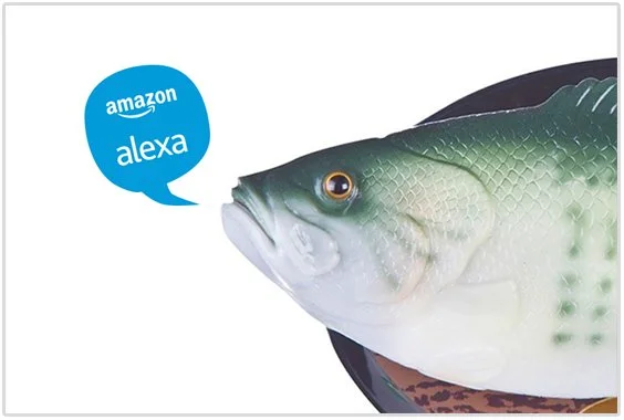 How Alexa Gadgets SDK Is