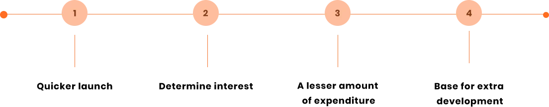 best perks of MVP website development