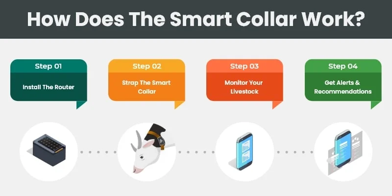 Working of IoT Smart Collar For Livestock