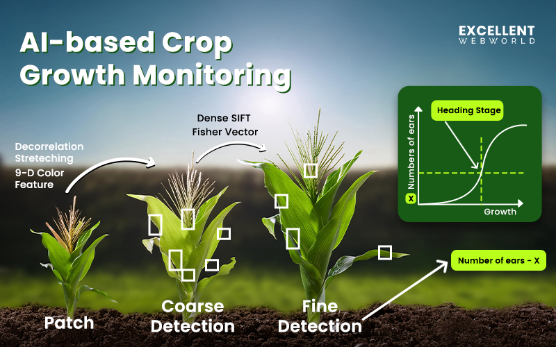 This image explains AI based crop growth monitoring. Three stages illustrate crop detection from patch to fine and a graph shows growth versus number of years.
