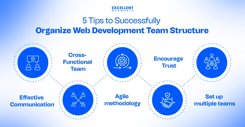 Tips to Successfully Organize Web Development Team