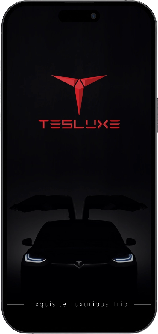 tesluxe taxi app project
